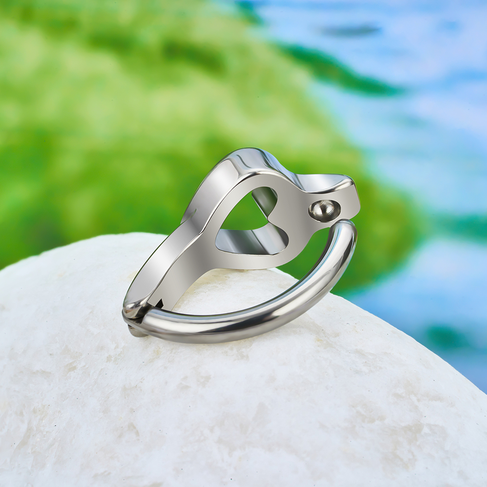 ASTM F136 Titanium 14G/16G Bel - огляд і ціна Curved Spring Bar